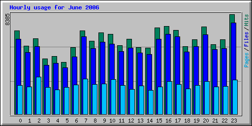 Hourly usage for June 2006